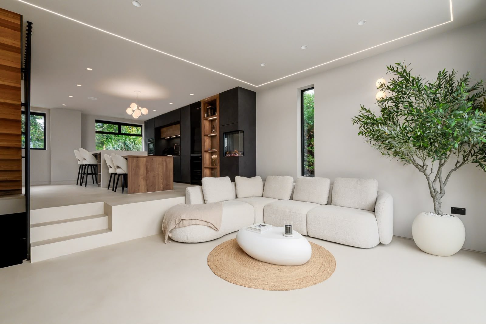 Open-plan kitchen and living